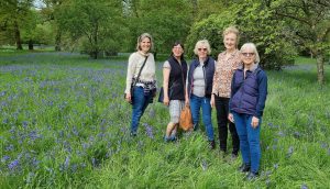 Ladies in the bluebells