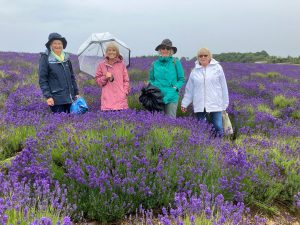 Ladies at Cotswold Lavender
