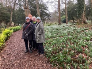 Garden Group at Painswick Rococo Gardens