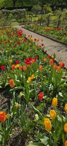 Cerney House Gardens