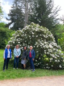 Garden Group Ladies at Westonbirt
