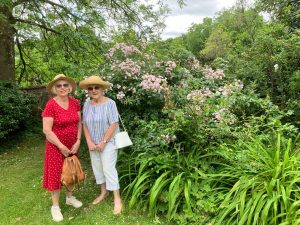 Rambling Roses Collection at Moor Wood Farm