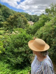 Rambling Roses Collection