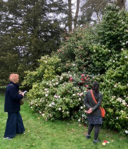 Westonbirt - March 2026