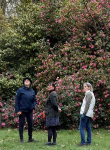 Westonbirt - March 2026
