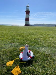 Seagull