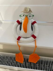 Seagull