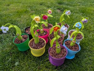Potted Pegs