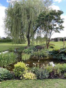 The pond at Hodges Barn Garden