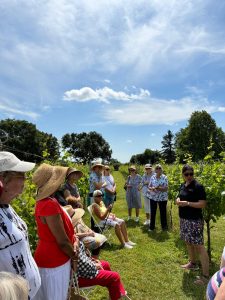 Larkhill Vineyard Tour