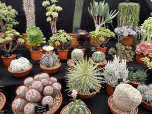 Badminton Flower Show