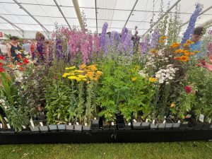 Badminton Flower Show