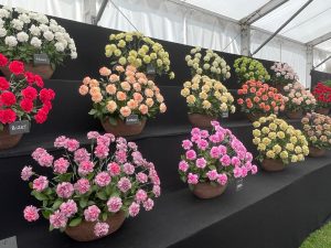 Badminton Flower Show