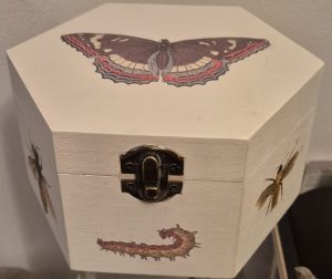 Decoupage box